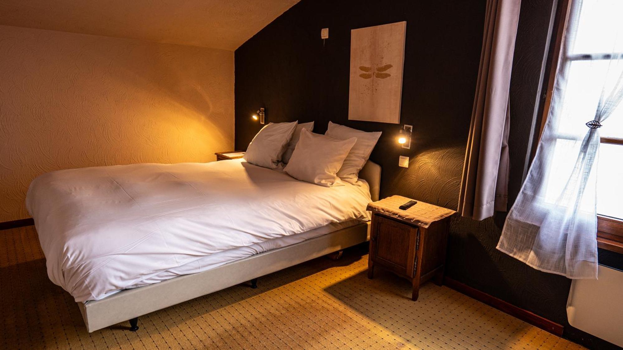 Hotel Au Coeur Bion *
